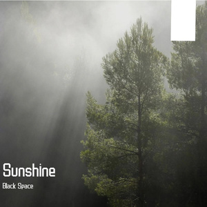 Sunshine
