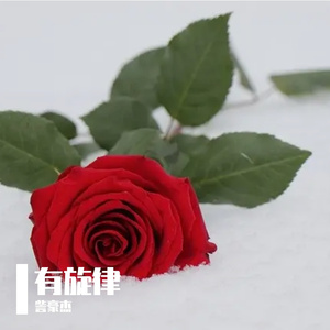 有旋律（Prod.CHAUNCEY）