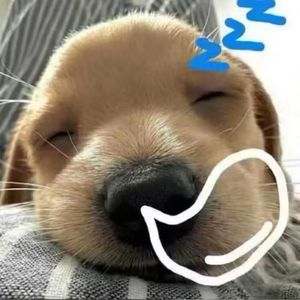 纯爱战士不会倒下（prod by scorpion）