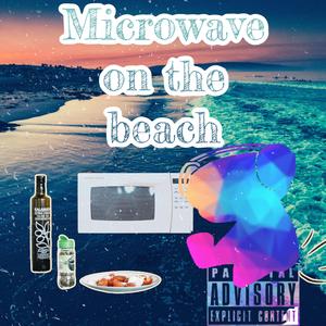 Microwave on the beach