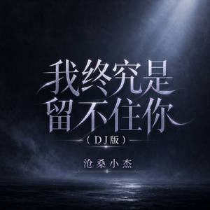 我终究是留不住你(DJ版)