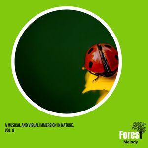 Droplets of Rain on Leaves