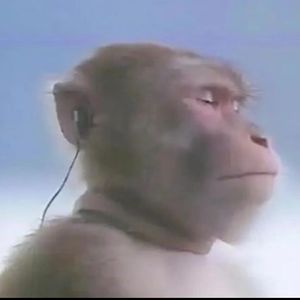 旧情人我是时间的新欢