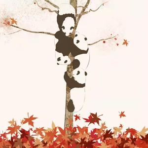 俩俩相望(男声版)