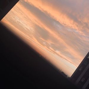 温热蝙蝠日记Acoustic