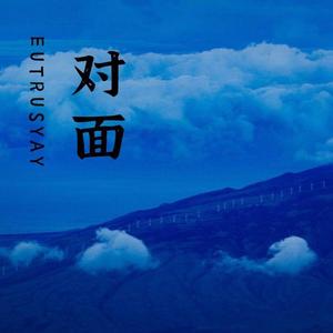 对面