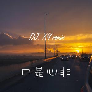 张雨生-口是心非_丫蛋蛋&崔铭嘉（DJXy_official remix）