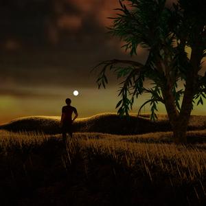 This Beautiful World