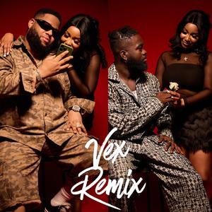 Vex (feat. D-Black & Paul Noun) (Remix)
