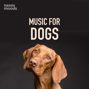 The Deer Hunter: Cavatina (Arr. for Guitar by John Williams)