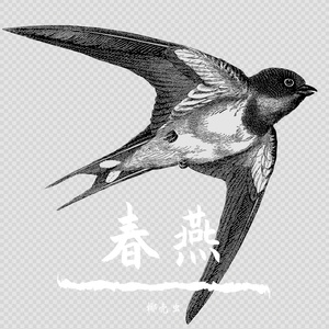 春燕