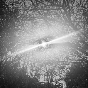 Ring From the Universe