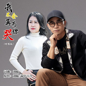 我不会再为你哭