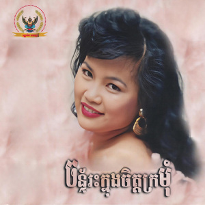 ស្រឡាញ់ប្រុសស៊ីវិល័យ