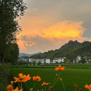 一封未拆的留白