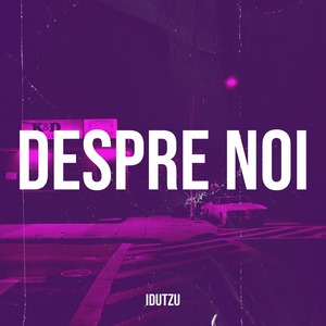 Despre Noi