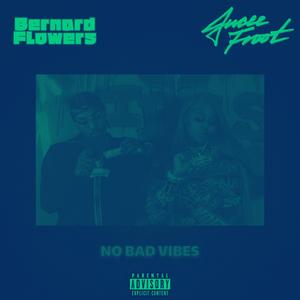 No Bad Vibes (feat. Jucee Froot)