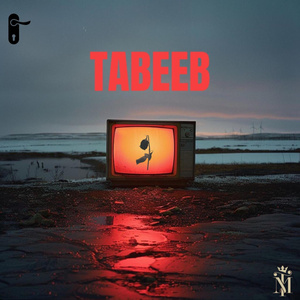 TABEEB