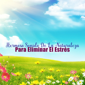 Relaja Tu Mente Y Tu Alma