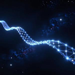 Тихий Звёздный Мост