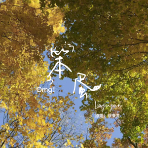 笨蛋