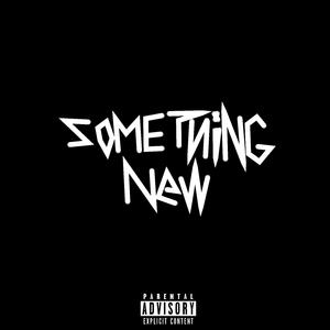 Something New (feat. Tylovision)