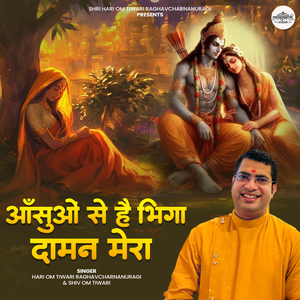 Ansuo Se Hai Bhiga Daaman Mera