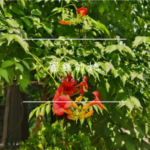 曾经的她 - 写给房主任和那些女士（原曲：她曾活过啊）