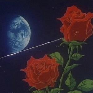 LOFI HipHop type best Rose