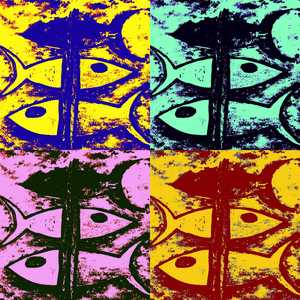 Huellas en el Páramo Blanco