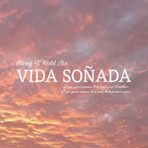 VIDA SOÑADA