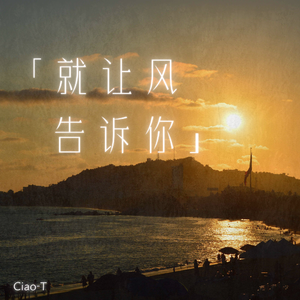就让风告诉你（dj热播版）