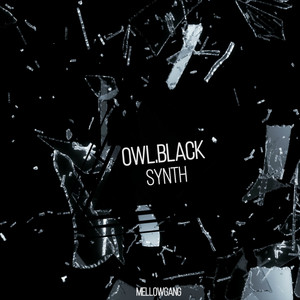 Synth (Original Mix)