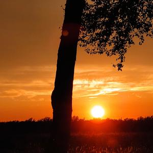 迷失在日落(prod by金桔0rang3/lil siren)