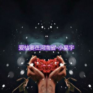 爱枯萎在河南省