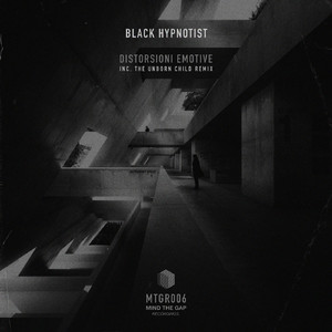Insanity flux (Original Mix)