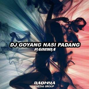 DJ GOYANG NASI PADANG