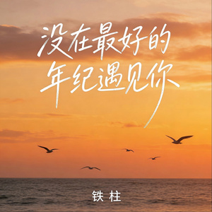 没在最好的年纪遇见你