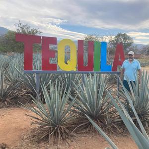 Mujeres artificiales