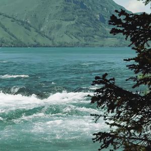 不喧而华（二胡独奏）