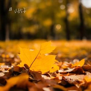 风吹过几座山
