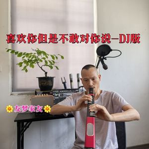 喜欢你但是不敢对你说DJ