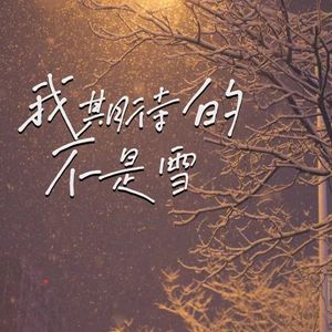 我期待的不是雪