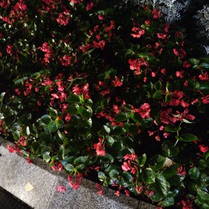 2025年09月02日17点50分(2)_裁剪_20250902_221430