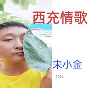 西充情歌