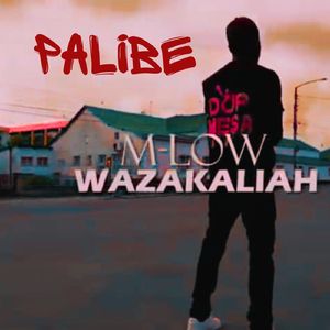 PaLiBE