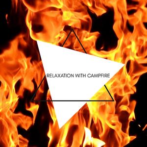 Relaxing Birds and Fire