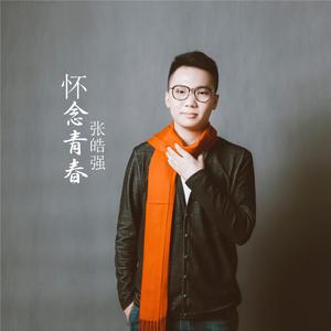 怀念青春（翻自 旭日阳刚）