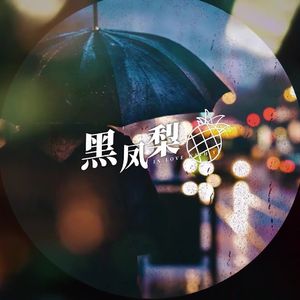 黑凤梨【2023重录】