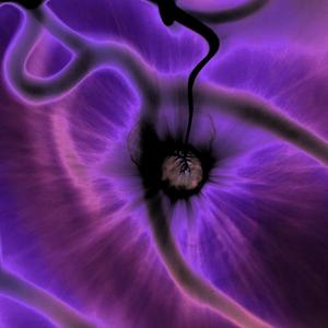 Live Together, Die Alone